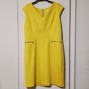 🖤New Sandra Darren Sunflower Dress Yellow🖤